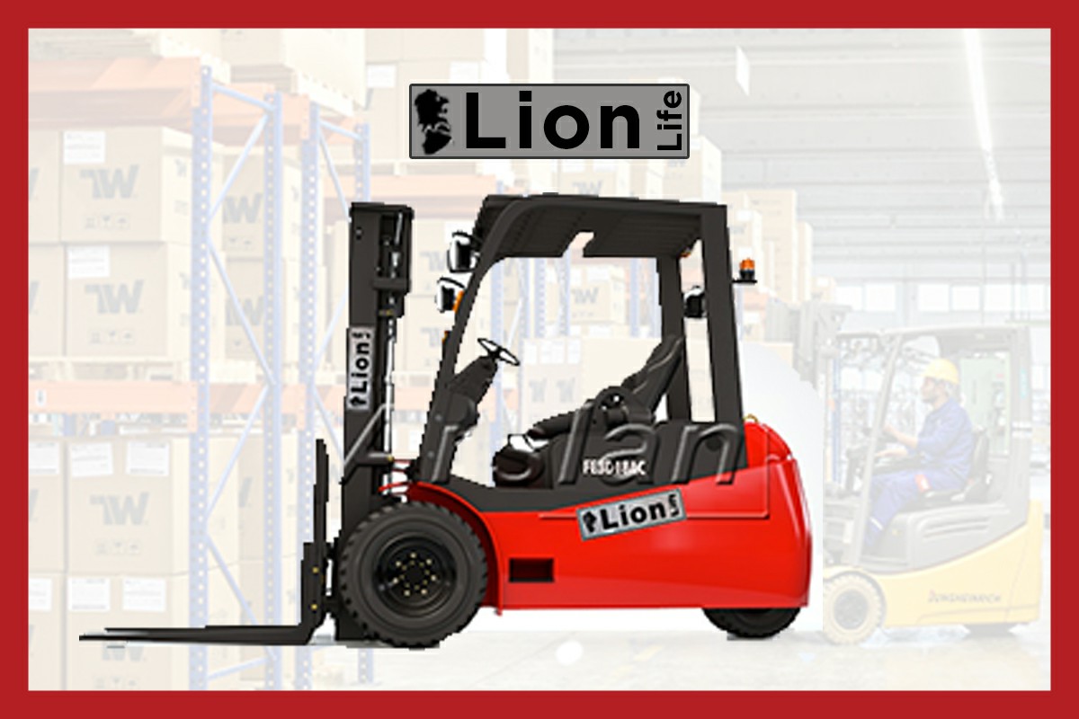 Lion Forklift Servisi Çanakkale